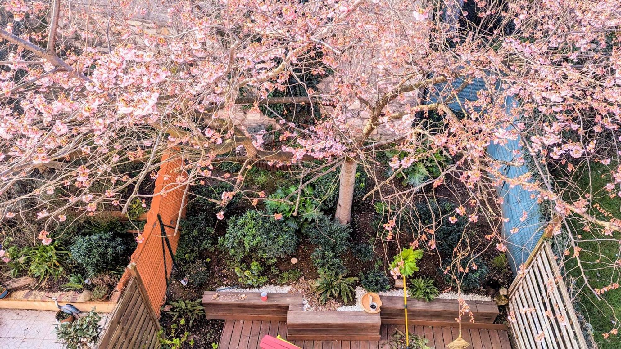 Ferienwohnung Maison Avec Jardin Au Sud De Paris Gentilly Exterior foto